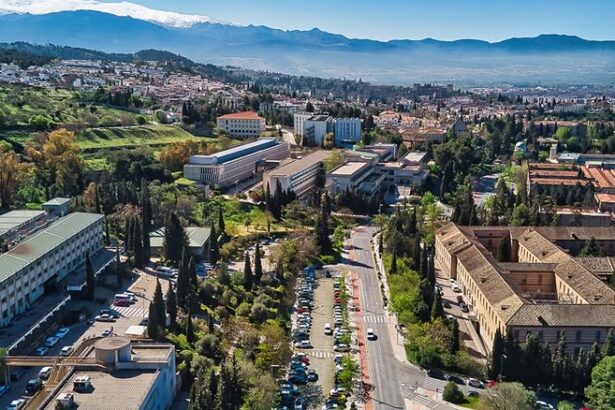En guía docente de asignatura sobre gestión pública de la Universidad de Granada, España