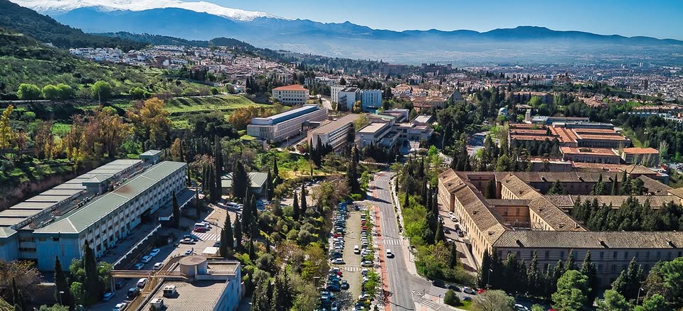 En guía docente de asignatura sobre gestión pública de la Universidad de Granada, España